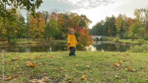 toddler child little boy in a yellow jacket walking playing in autumn park. Aleksandrovsky Park, Pushkin, St. Petersburg, Russia. photo