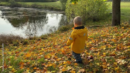 toddler child playing by the pond in autumn park, little boy in yellow jacket walking in Aleksandrovsky Park, Pushkin, St. Petersburg, Russia. photo