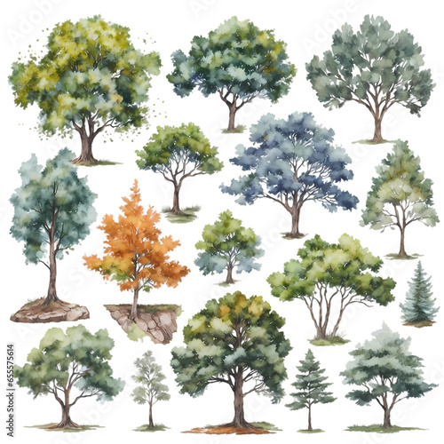 Trees watecolor painting collection v3