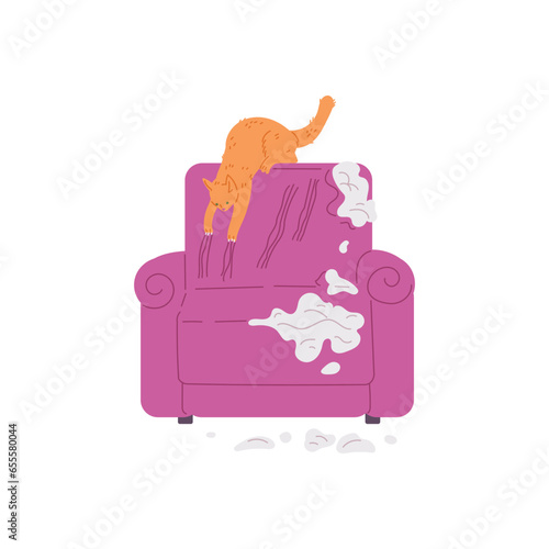Pet mess, disorder and destruction by naughty cat, damaged and scratched armchair, vector cartoon bad feline behavior