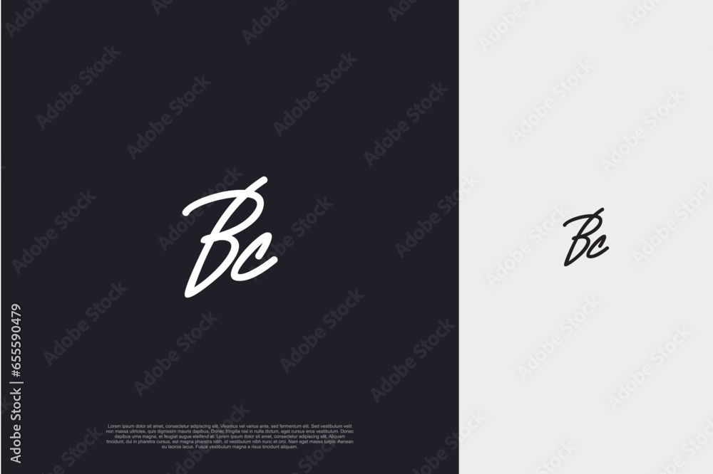 Initial Letter BS Logo signature style monogram typography for business name. Vector logo inspiration

