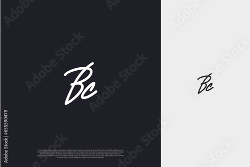 Initial Letter BS Logo signature style monogram typography for business name. Vector logo inspiration 