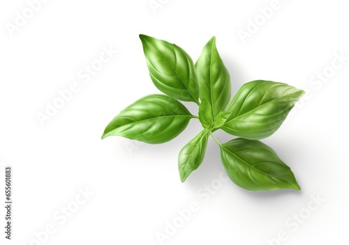 Basil isolated. Basil leaf flat lay on white background. Green basil leaves collection top view. AI Generative.