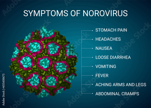 Norovirus symptoms illustration, medical infographic