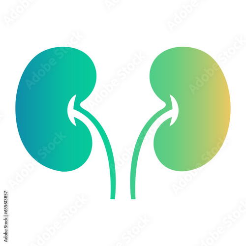 kidney icon