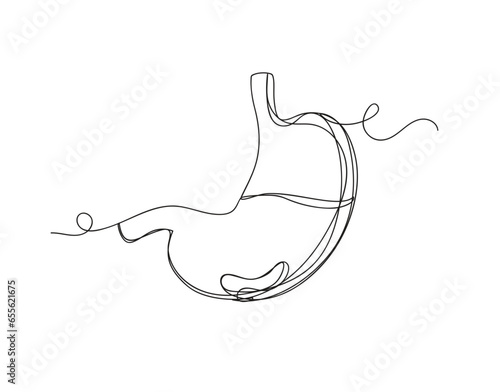 Continuous one line stomach isolated vector illustration.