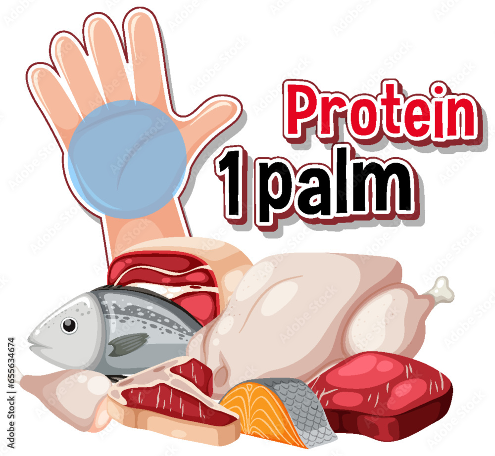 Protein Food: Healthy Eating Concept in Vector Illustration Protein Food: Healthy Eating Concept in Vector Illustration