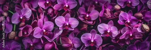 Seamless Background Of Darkorchid, Hd Background, Background For Website