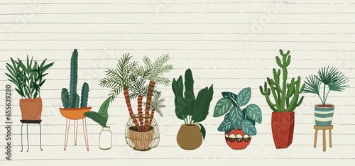 Home plants with pots vector illustrations set.