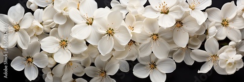 FloralWhite, Hd Background, Background For Computers Wallpaper