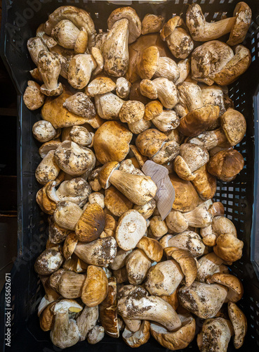 Boletus mushrooms (Boletus Edulis) in a box of a market.