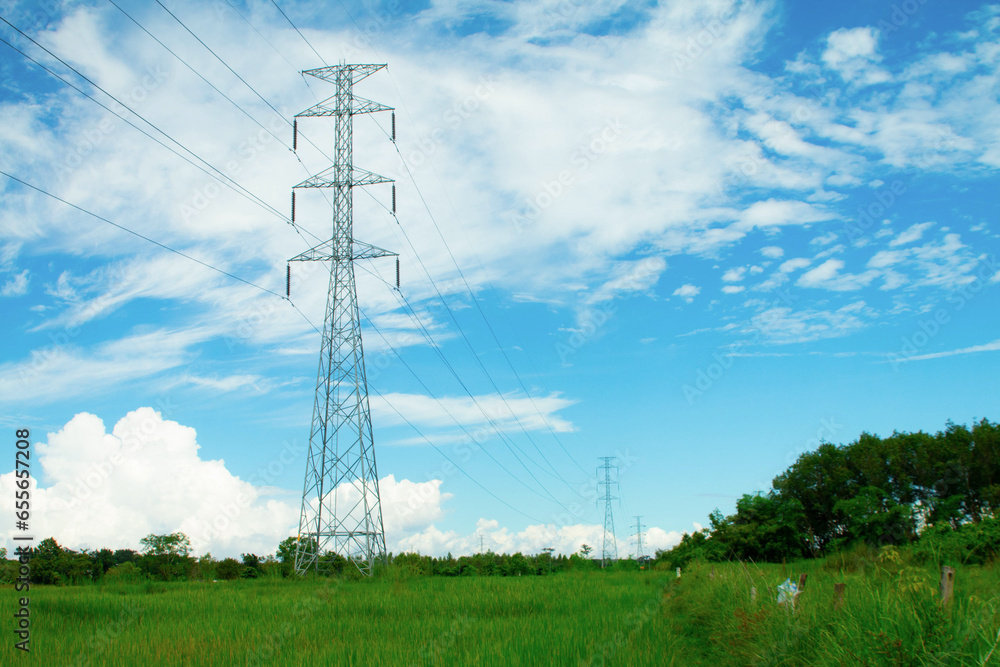 High-voltage electric towers line the green rice fields and clear skies.