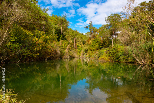 Pond in the forest or a park in the autumn
