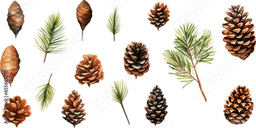 Fototapeta Naklejka Na Ścianę i Meble -  Set watercolor Christmas pine cones on white background.