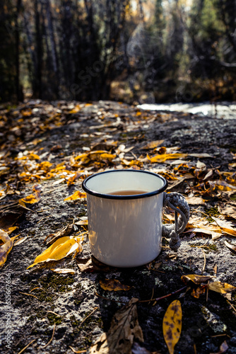 Autumn drink. Enameled cup of coffee or tea on autumn landscape outdoors. tea in an iron travel mug in the autumn forest. Selective focus.