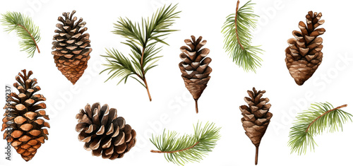 Set watercolor Christmas pine cones on white background. © EnelEva