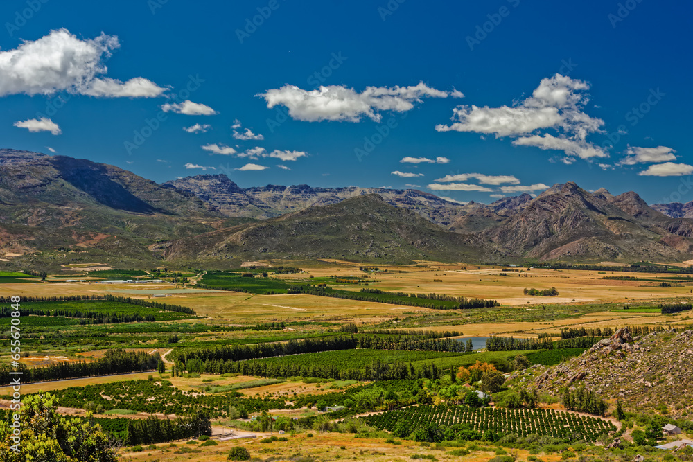 Naklejka premium Fertile plantations and farmland in Olifants River valley with Koue Bokkeveld Mountains in the background, Western Cape, South Africa