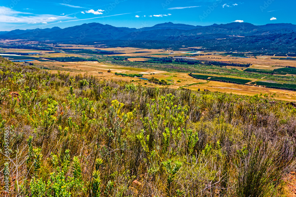 Landscape of fynbos above the Olifants River Valley and the Koue Bokkeveld Mountains in the background near Citrusdal, Western Cape, South Africa Landscape of fynbos above the Olifants River Valley and the Koue Bokkeveld Mountains in the background near Citrusdal, Western Cape, South Africa
