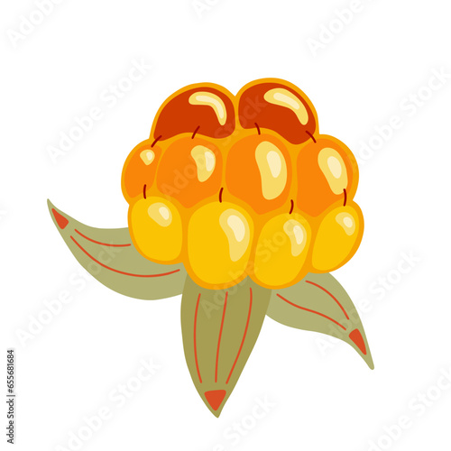 Cloudberry vector illustration. Bright yellow orange berry. Northern fruit isolated on white background. Hand drawn arctic tundra forest healthy vitamin food for packaging. Nordic cuisine ingredient