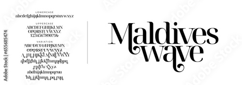 Elegant Font Uppercase Lowercase and Number. Classic Lettering Minimal Fashion Designs. Typography modern serif fonts regular decorative vintage concept. vector illustration