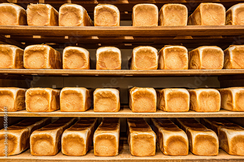 食パン
KOHEI TAKE ©︎ TAKE PHOTO All RIGHT RESERVED