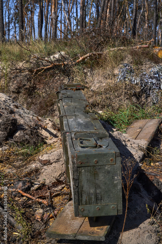 burnt forest and shell casing