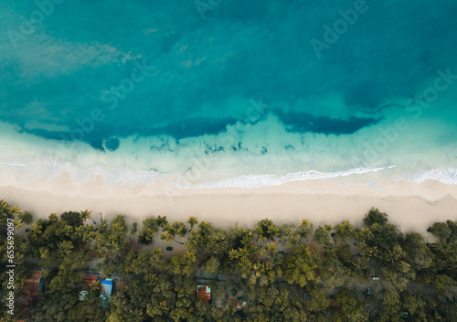 Fototapeta Naklejka Na Ścianę i Meble -  Aerial top drone view on sand beach,palm tree and ocean on the caribbean island of Martinique, France. Famous Plage des Salines beach.