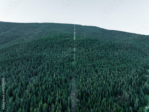 Aerial view of the cable car from Ortisei to Rasciesa, a mountain peak on the Dolomites in Trentino, South Tyrol in Northern Italy. photo