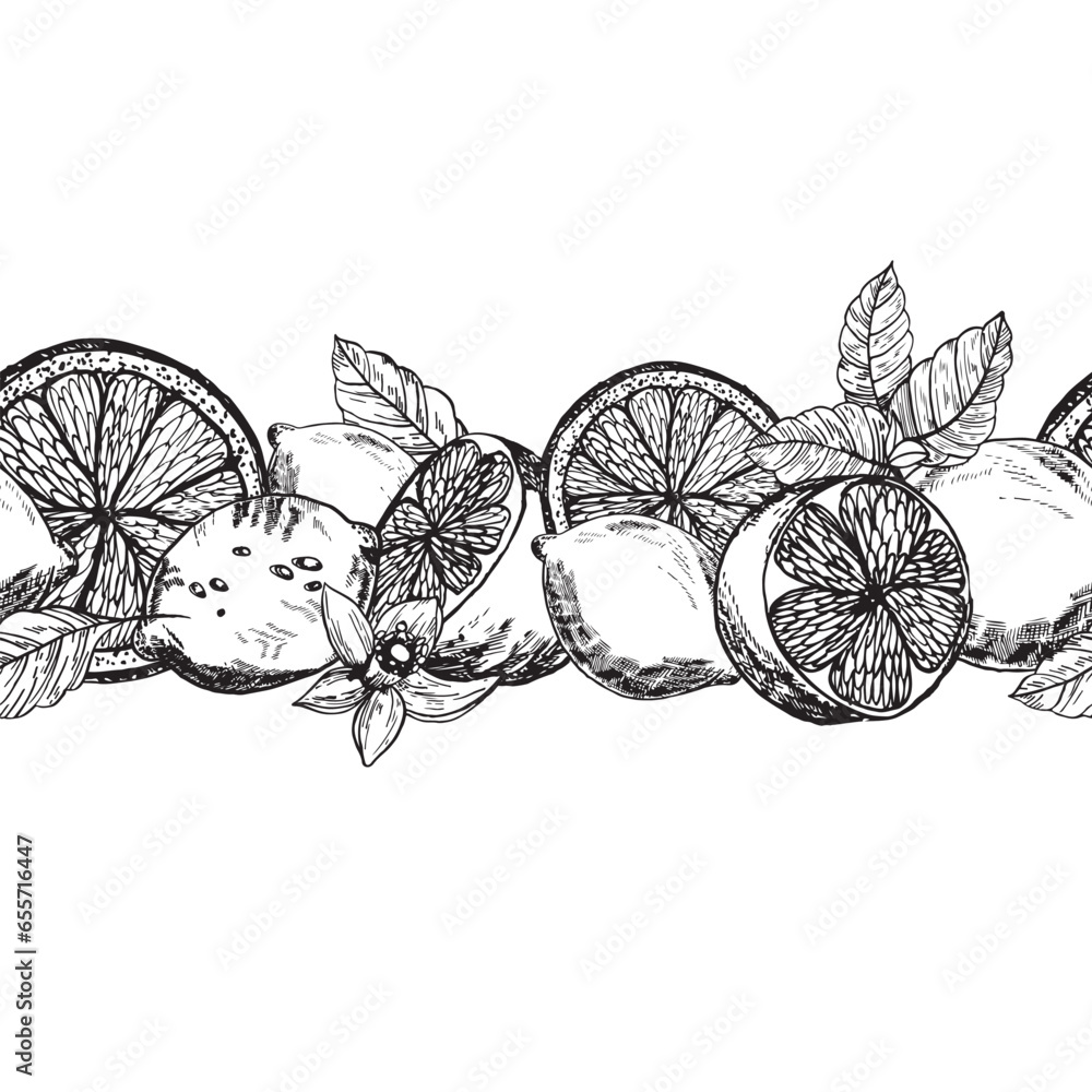Seamless border with lemons. And Citrus lemons line art graphics. Lemon ...