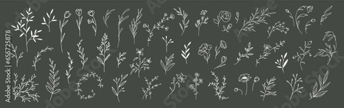 Hand drawn floral minimal elements in line art style. Flowers, greenery for decoration, wild and garden plants, branches, leaves. Vector illustration for logo, tattoo, wedding invitation