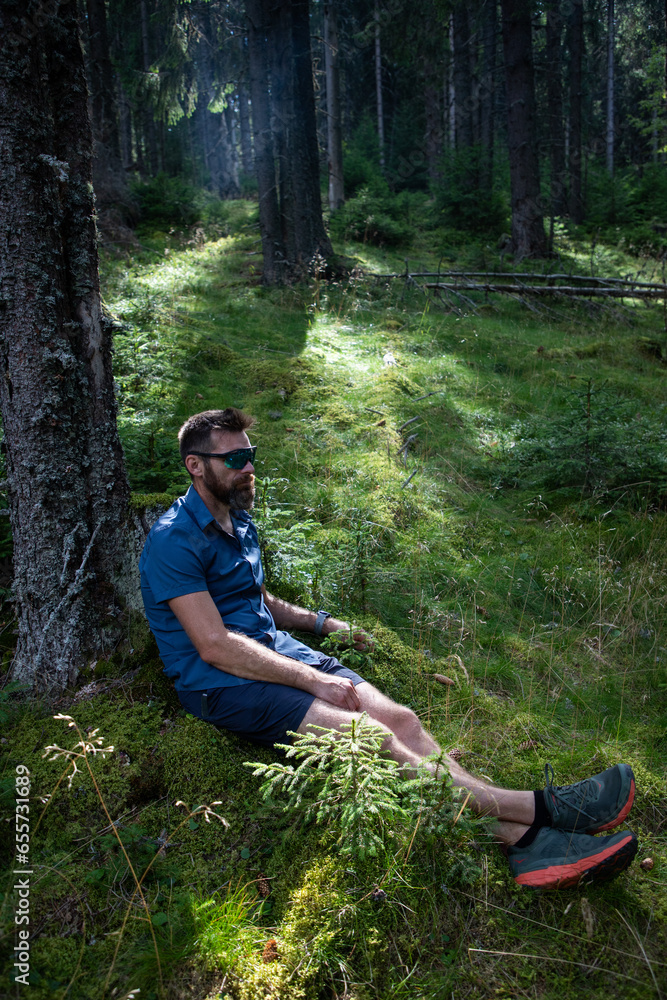 man relaxing in pine forest man relaxing in pine forest