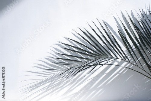 Nature lighting of blurred shadow from palm leaves on the white wall mockup. WEB concept for advertisements and banners. 
