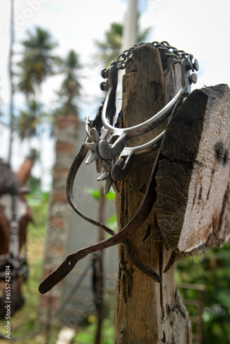 horse in the stable, knight's spur, horse spur, wooden fence, fenced, blurred background, close-up of spur on wooden fence