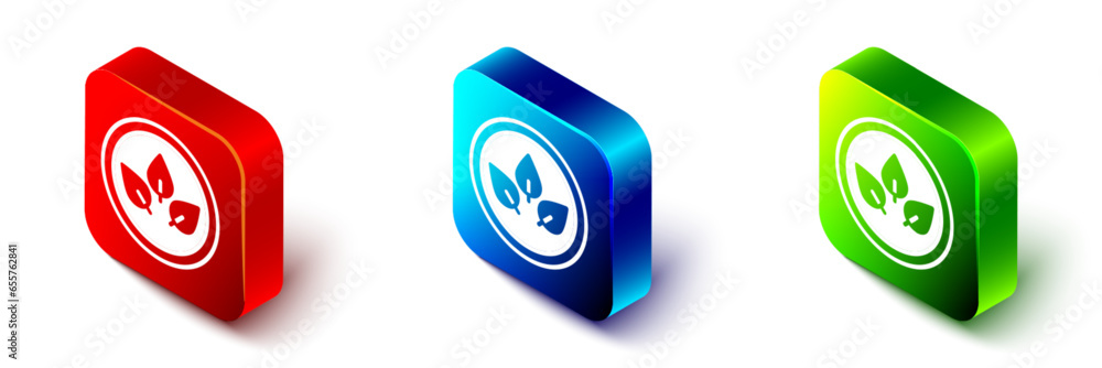 Isometric Vegan food diet icon isolated on white background. Organic, bio, eco symbol. Vegan, no meat, lactose free, healthy, fresh and nonviolent food. Red, blue and green square button. Vector Isometric Vegan food diet icon isolated on white background. Organic, bio, eco symbol. Vegan, no meat, lactose free, healthy, fresh and nonviolent food. Red, blue and green square button. Vector