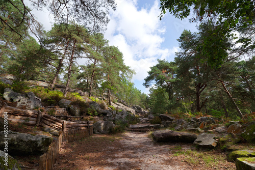  Restoration of the  eroded sections in the Franchard gorges. Fontainebleau forest