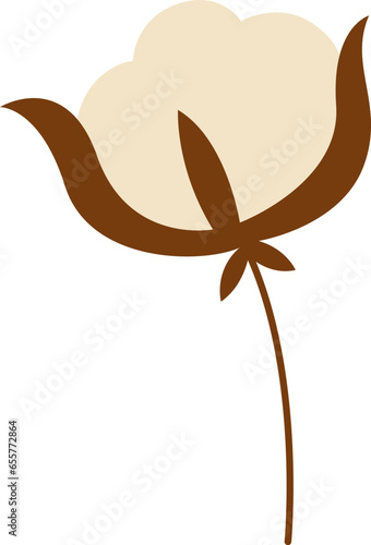 Cotton Flower Plant