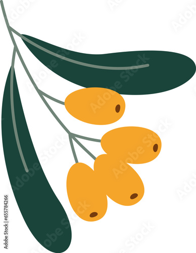 Sea Buckthorns Branch