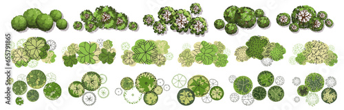 Tree for architectural floor plans. Entourage design. Various trees, bushes, and shrubs, top view for the landscape design plan. Vector illustration.