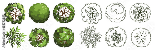 Tree for architectural floor plans. Entourage design. Various trees, bushes, and shrubs, top view for the landscape design plan. Vector illustration.