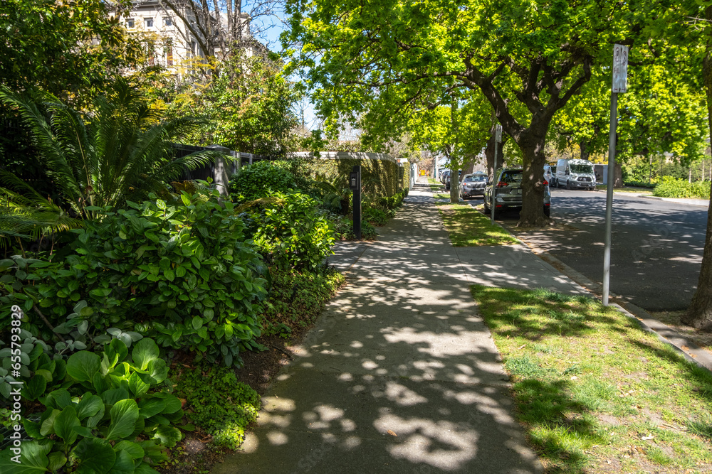 Fototapeta premium Pedestrian walkway or sidewalk under lush green tree shades with a variety of plants on roadside in Melbourne’s suburban residential neighbourhood. Urban background with mature street trees.