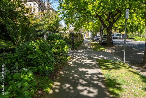 Pedestrian walkway or sidewalk under lush green tree shades with a variety of plants on roadside in Melbourne’s suburban residential neighbourhood. Urban background with mature street trees.