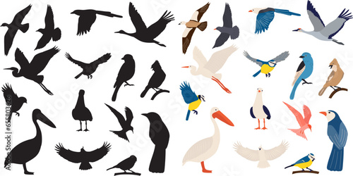 set of birds of different breeds, on a white background, vector