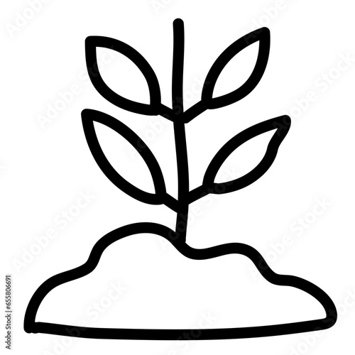 sprout