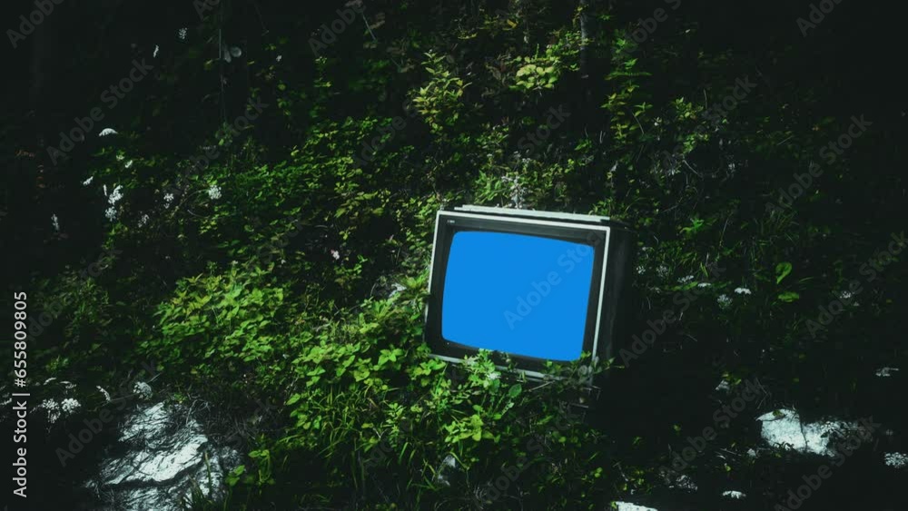 Old Broken TV Dump Nature Blue Screen Television Zoom In, Environment