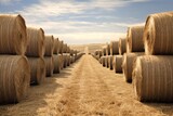 path through large stacks of hay bales in rolling hills countryside