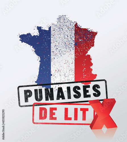 punaises de lit en france