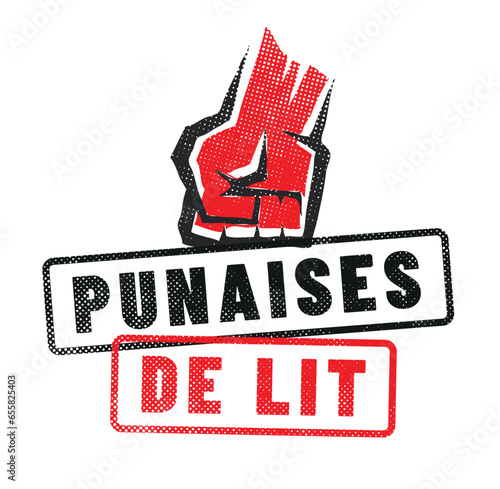 punaises de lit en france