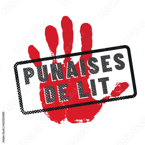 punaises de lit en france