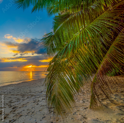 Fototapeta Naklejka Na Ścianę i Meble -  Colorful sunset in Praslin island