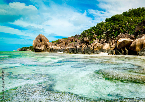 Coral reef in world famous Anse Source d'Argent beach
